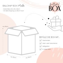 Balloha® Box - DIY Creamy Blush - 80